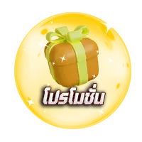 ปุ่มโปรโมชั่น